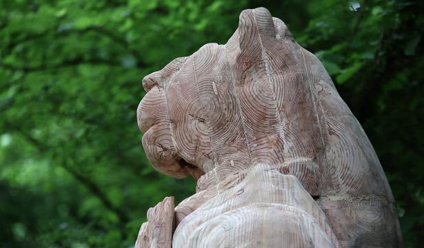 Dans la peau de l’Homme Lion